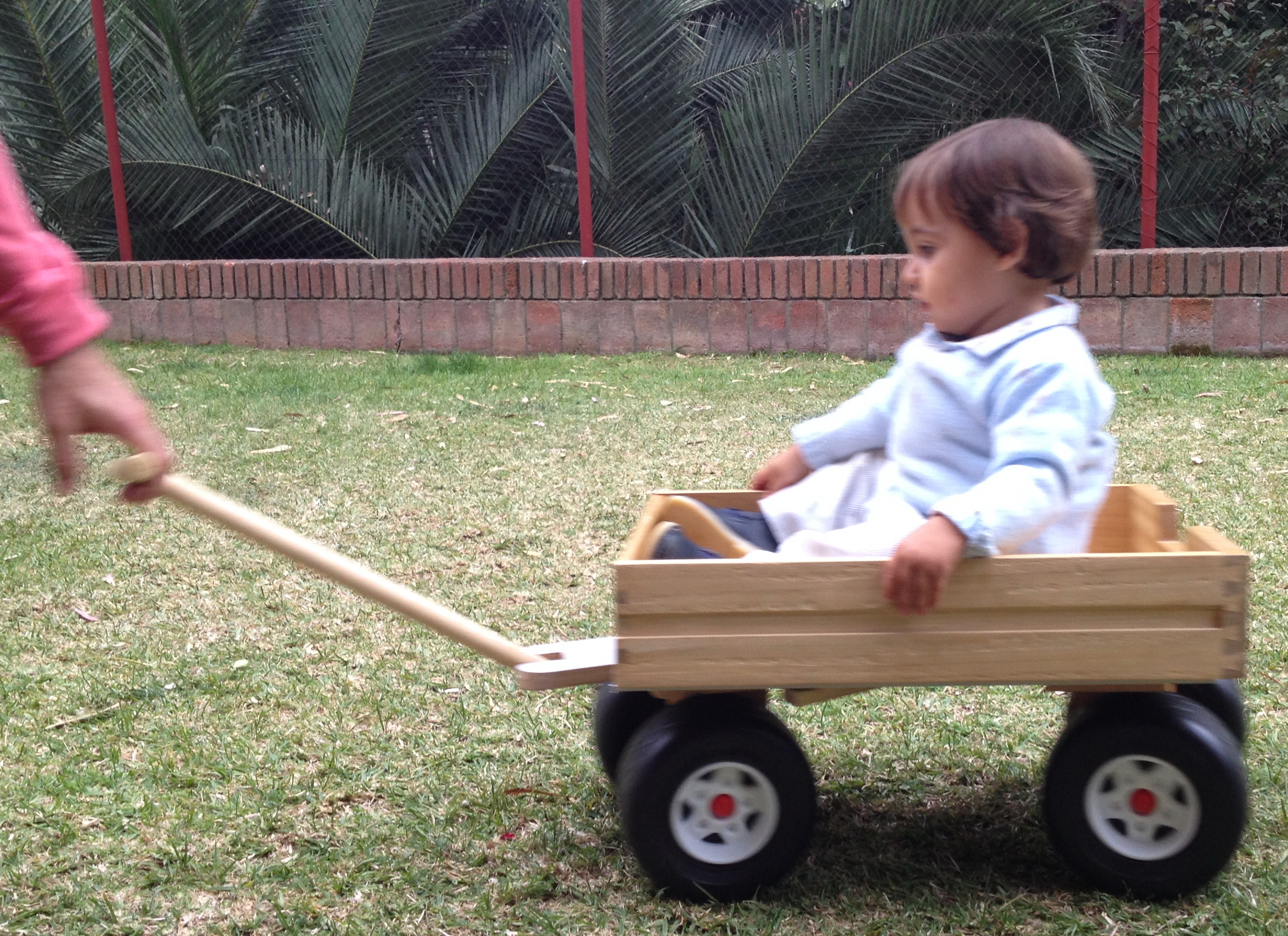 Carro de Tiro Simple